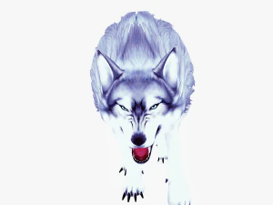 WOLVES PACK 5 characters ANIMATED 3D Model