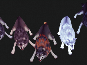 WOLVES PACK 5 characters ANIMATED 3D Модель