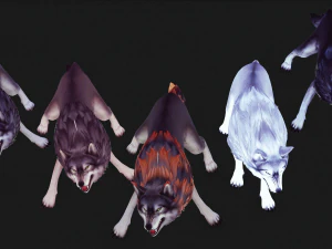 WOLVES PACK 5 characters ANIMATED 3D Model