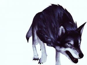 WOLVES PACK 5 characters ANIMATED 3D Model