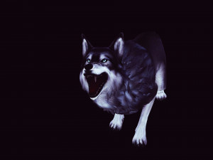 WOLVES PACK 5 characters ANIMATED 3D Модель