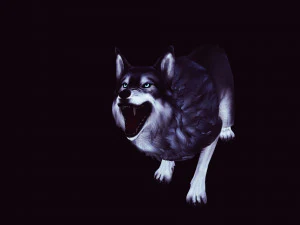 WOLVES PACK 5 characters ANIMATED 3D Model
