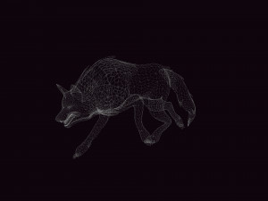 WOLVES PACK 5 characters ANIMATED 3D Модель
