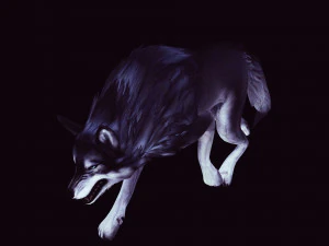 WOLVES PACK 5 characters ANIMATED 3D Model
