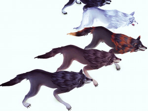WOLVES PACK 5 characters ANIMATED 3D Модель