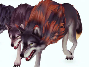 WOLVES PACK 5 characters ANIMATED 3D Model