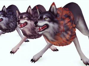 WOLVES PACK 5 characters ANIMATED 3D Модель