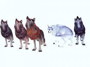 WOLVES PACK 5 characters ANIMATED 3D Model