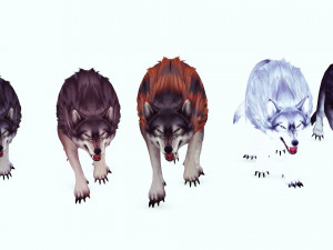 WOLVES PACK 5 characters ANIMATED 3D Model