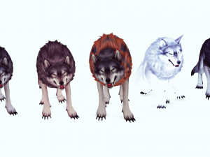 WOLVES PACK 5 characters ANIMATED 3D Модель