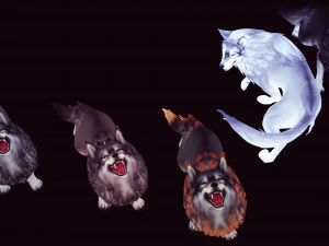 WOLVES PACK 5 characters ANIMATED 3D Model