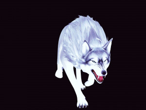 WHITE WOLF ANIMATED DOG WOLF 3D DOG 3D Model