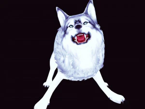 WHITE WOLF ANIMATED DOG WOLF 3D DOG 3D Model