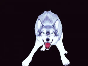 WHITE WOLF ANIMATED DOG WOLF 3D DOG 3D Model