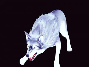 WHITE WOLF ANIMATED DOG WOLF 3D DOG 3D Model