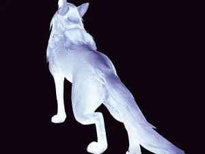 WHITE WOLF ANIMATED DOG WOLF 3D DOG 3D Model