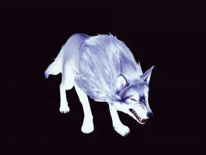 WHITE WOLF ANIMATED DOG WOLF 3D DOG 3D Model