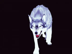 WHITE WOLF ANIMATED DOG WOLF 3D DOG 3D Model