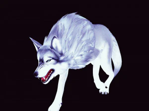 WHITE WOLF ANIMATED DOG WOLF 3D DOG 3D Model