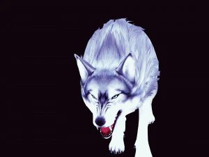 WHITE WOLF ANIMATED DOG WOLF 3D DOG 3D Model