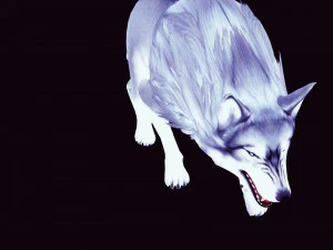 WHITE WOLF ANIMATED DOG WOLF 3D DOG 3D Model