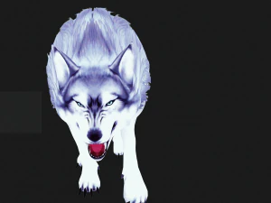 WHITE WOLF ANIMATED DOG WOLF 3D DOG 3D Model