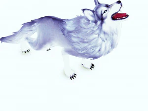WHITE WOLF ANIMATED DOG WOLF 3D DOG 3D Model