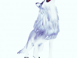 WHITE WOLF ANIMATED DOG WOLF 3D DOG 3D Модель
