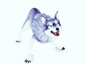 WHITE WOLF ANIMATED DOG WOLF 3D DOG 3D Модель