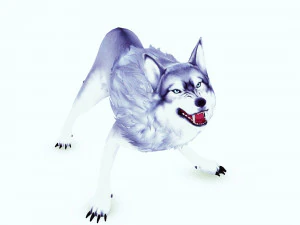 WHITE WOLF ANIMATED DOG WOLF 3D DOG 3D Model
