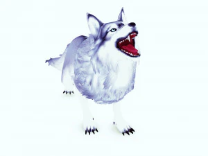 WHITE WOLF ANIMATED DOG WOLF 3D DOG 3D Model