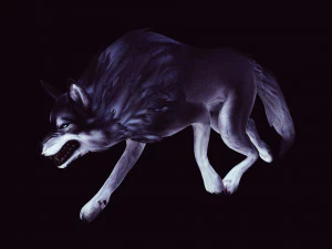 WOLF ANIMATED 3D Model