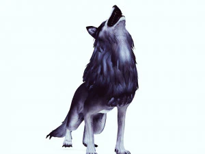 WOLF ANIMATED 3D Model