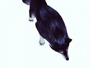 WOLF ANIMATED Modelo 3D