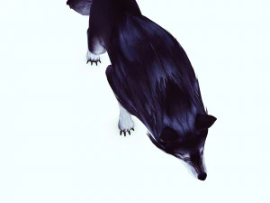 WOLF ANIMATED 3D Model