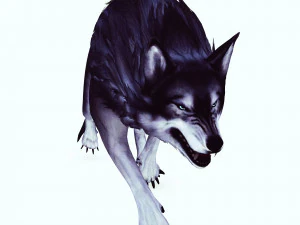 WOLF ANIMATED 3D Model