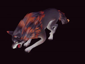 WOLF DOG WOLF - DOG CANINE 3D Model