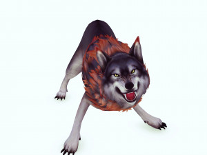 WOLF DOG WOLF - DOG CANINE Modelo 3D