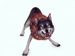 WOLF DOG WOLF - DOG CANINE 3D Model