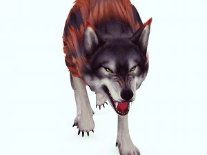 WOLF DOG WOLF - DOG CANINE 3D Model