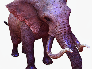 Elephant 3D MODEL 3D Model