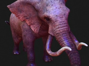 Elephant 3D MODEL Modèle 3D