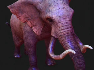 Elephant 3D MODEL 3D Model