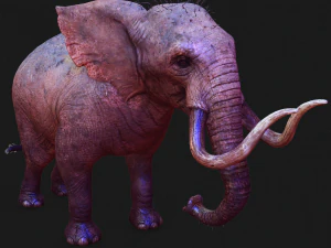 Elephant 3D MODEL 3D Model