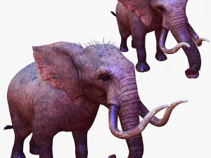 Elephant 3D MODEL 3D Model