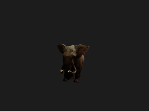 Elephant 3D MODEL Modèle 3D