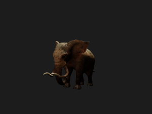 Elephant 3D MODEL Modèle 3D