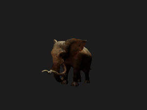 Elephant 3D MODEL 3D Model