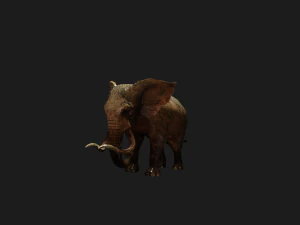 Elephant 3D MODEL 3D Model