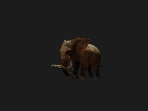 Elephant 3D MODEL 3D Model